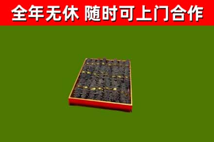 浉河回收海参